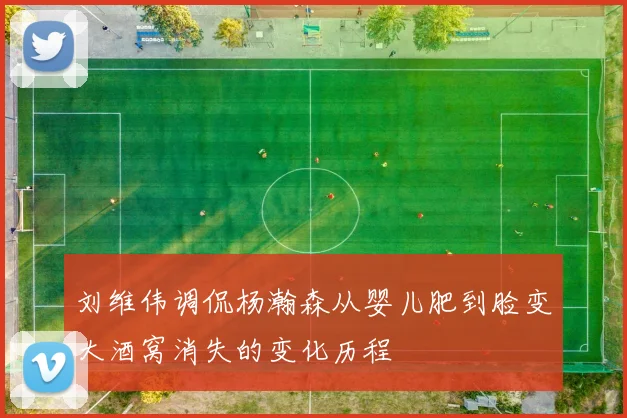 刘维伟调侃杨瀚森从婴儿肥到脸变大酒窝消失的变化历程